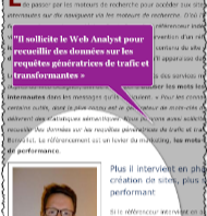 consultant-referencement